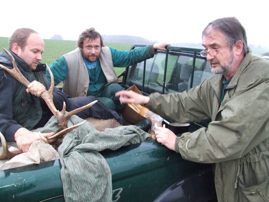 obrázek: Ochránci zvířat chytali jelena vypuštěného z obory