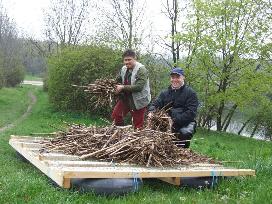 obrázek: Plzeňáci stěhovali hnízda pražským labutím 