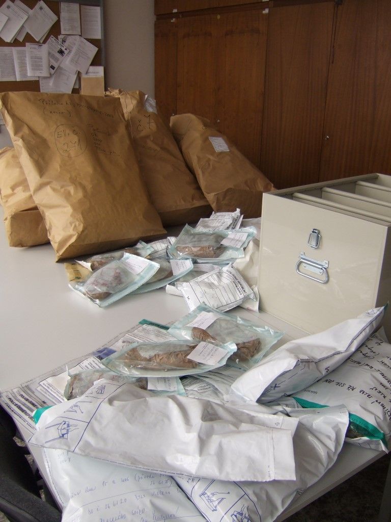 obrázek: Policisté zlikvidovali 25 kilogramů drog