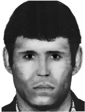 obrázek: Policisté mají identikit plzeňského lupiče