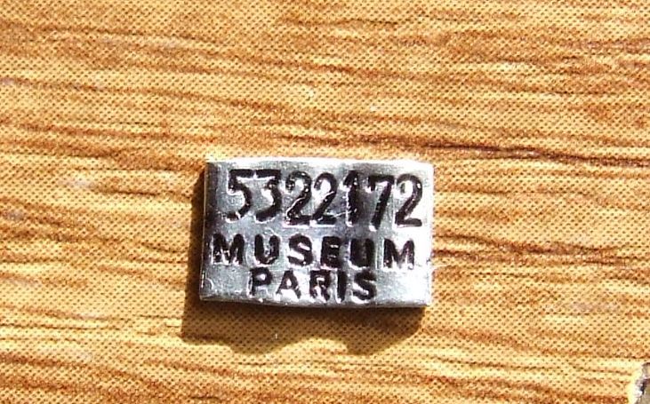 obrázek: Sýkora koňadra dolétla do plzeňských Lobez z daleké Francie