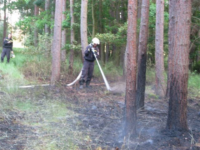 obrázek: U Úherců na Plzeňsku hořel les