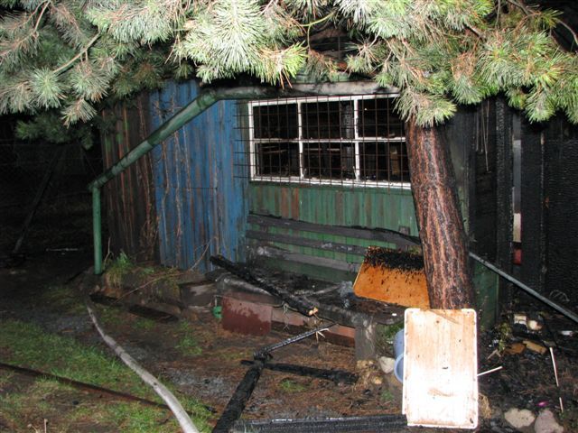 obrázek: V plzeňské Borské ulici hořely chaty