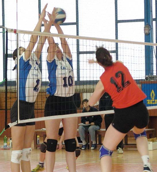 obrázek: Volejbalový turnaj v Kralovicích