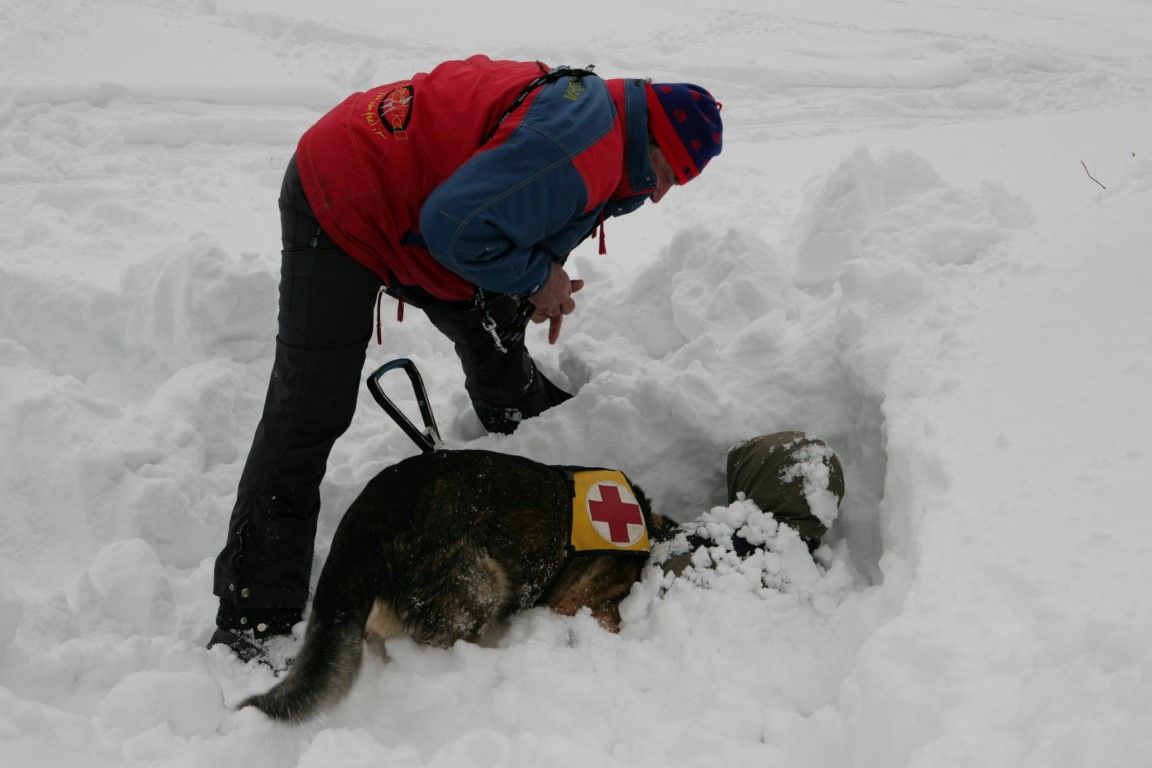 obrázek: Čeští i němečtí strážci parku se školili na Šumavě