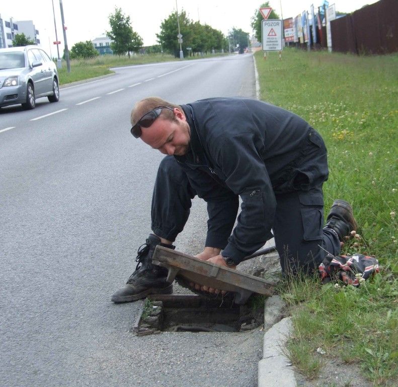 obrázek: Kachny s mláďaty hnízdí uprostřed plzeňských sídlišť