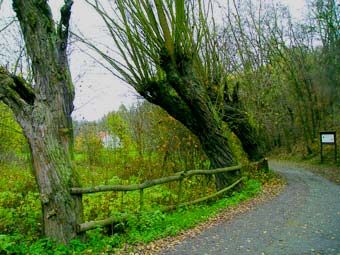 obrázek: Klub českých turistů zahájí v neděli sezónu