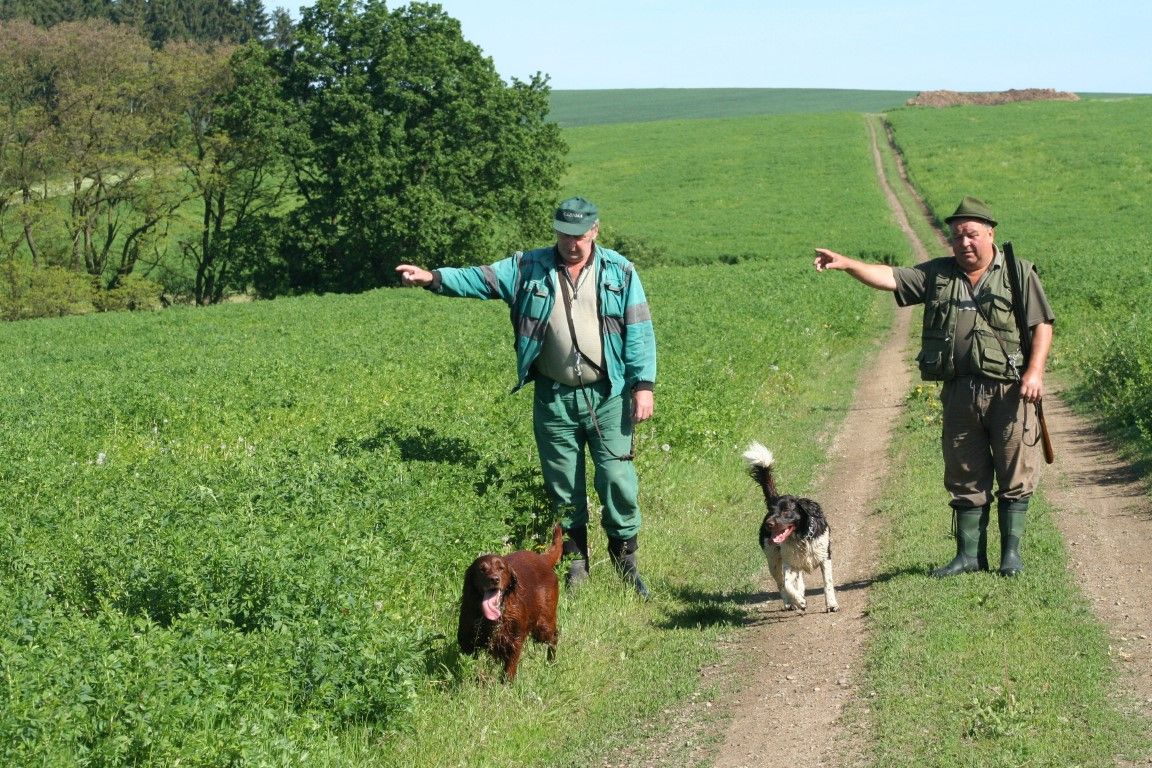 obrázek: Myslivci na Rokycansku zachraňovali zvěř před sekáním vojtěšky