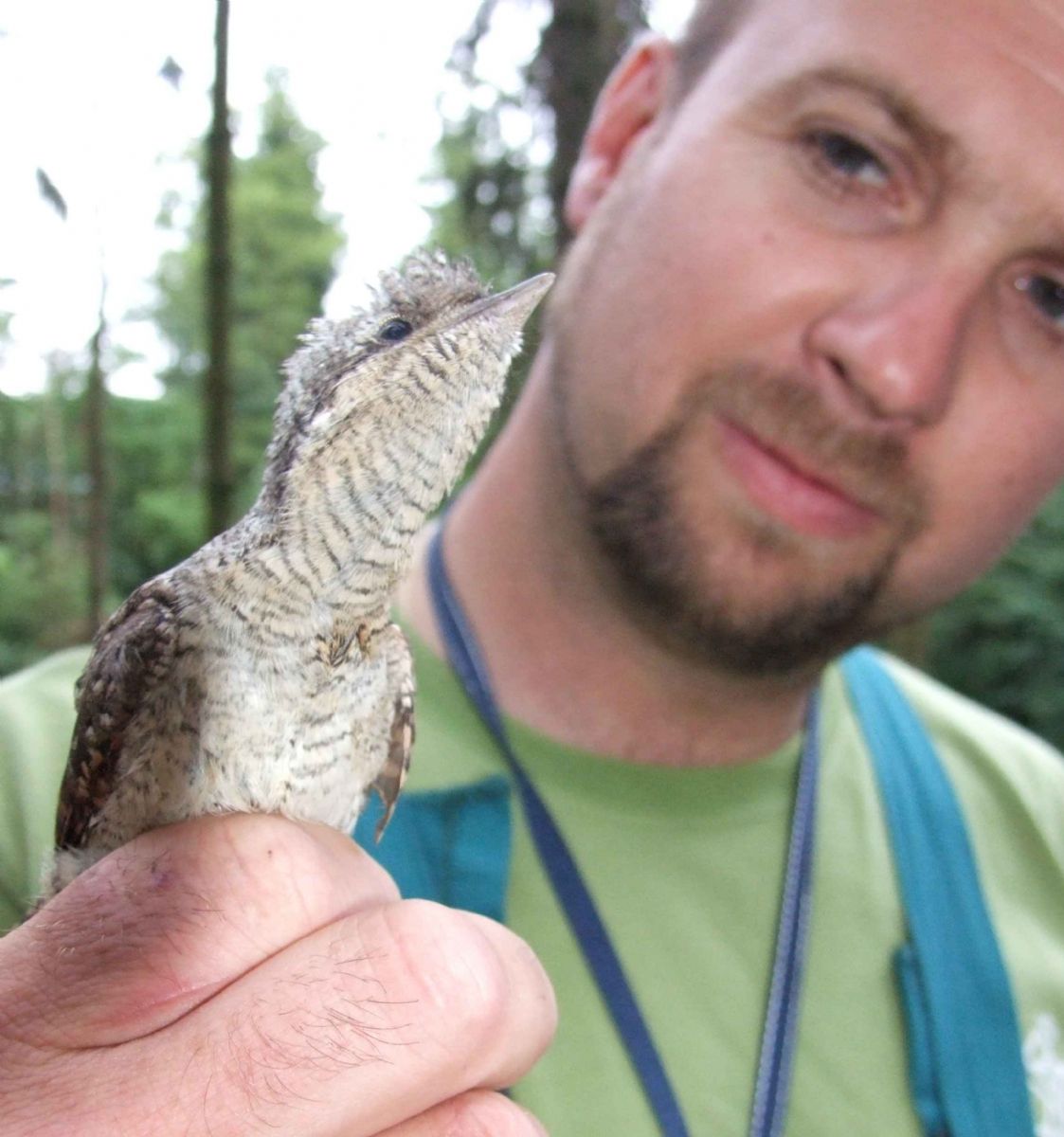 obrázek: Na Rokycansku objevili vzácného krutihlava
