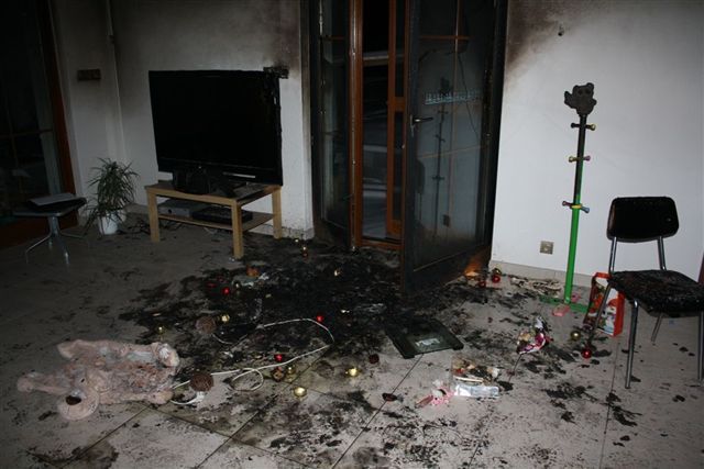 obrázek: Na Tři krále hořel ve Zdemyslicích vánoční stromek