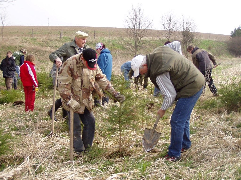 obrázek: Ochránci přírody z Rokycan dnes sázejí stromky v Litohlavech