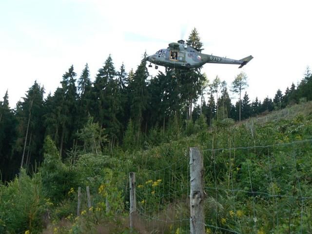 obrázek: Paraglidista se zamotal na Svatoboru na modřínu