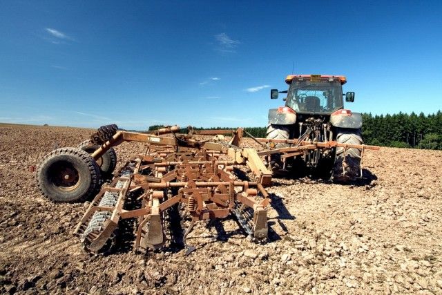 obrázek: Pod koly traktorů hyne v Plzeňském kraji zvěř