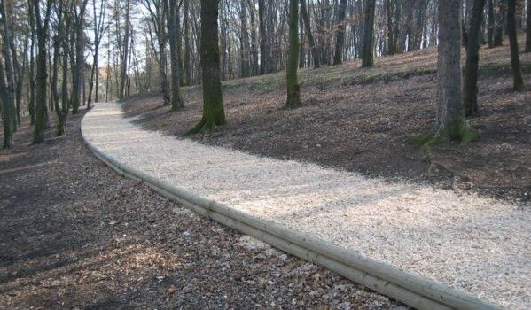 obrázek: Porost na Homolce prodělá ozdravnou kúru