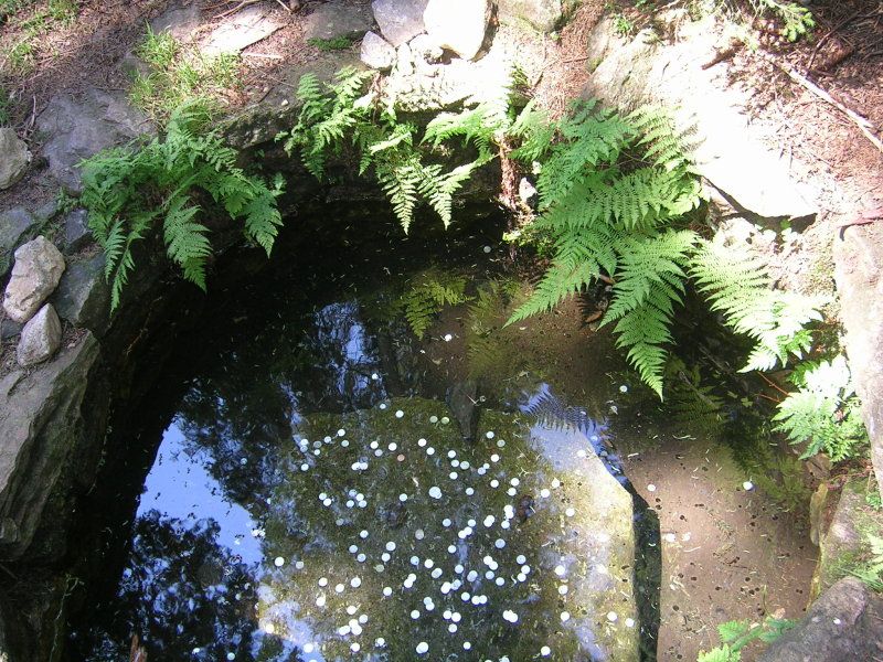 obrázek: Prameny Vltavy vydaly zajímavou sbírku mincí