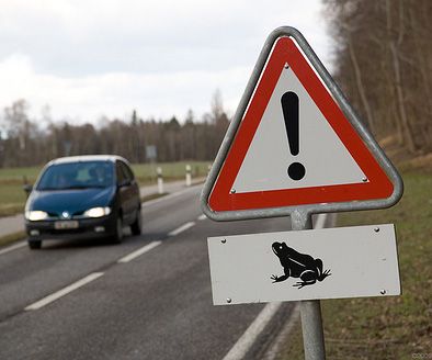 obrázek: Řidiči pozor, silnice v kraji přecházejí žáby!
