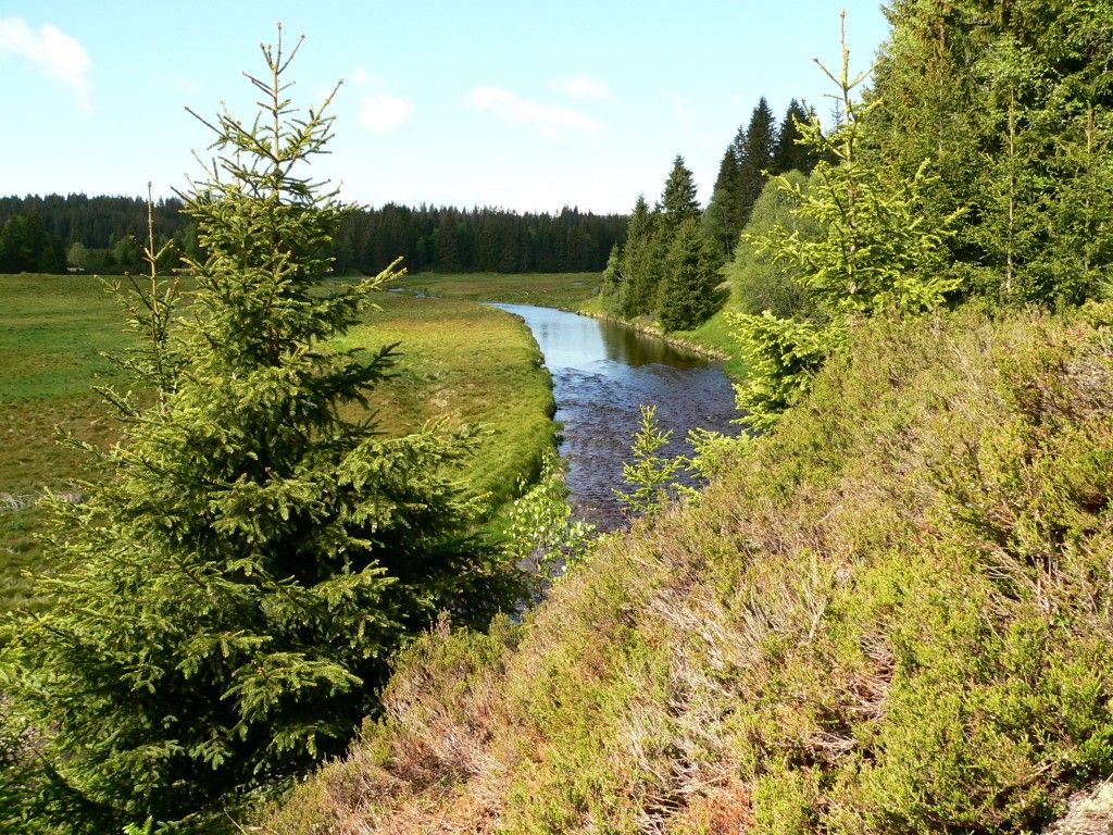 obrázek: S průvodci už můžete za šumavskou divočinou