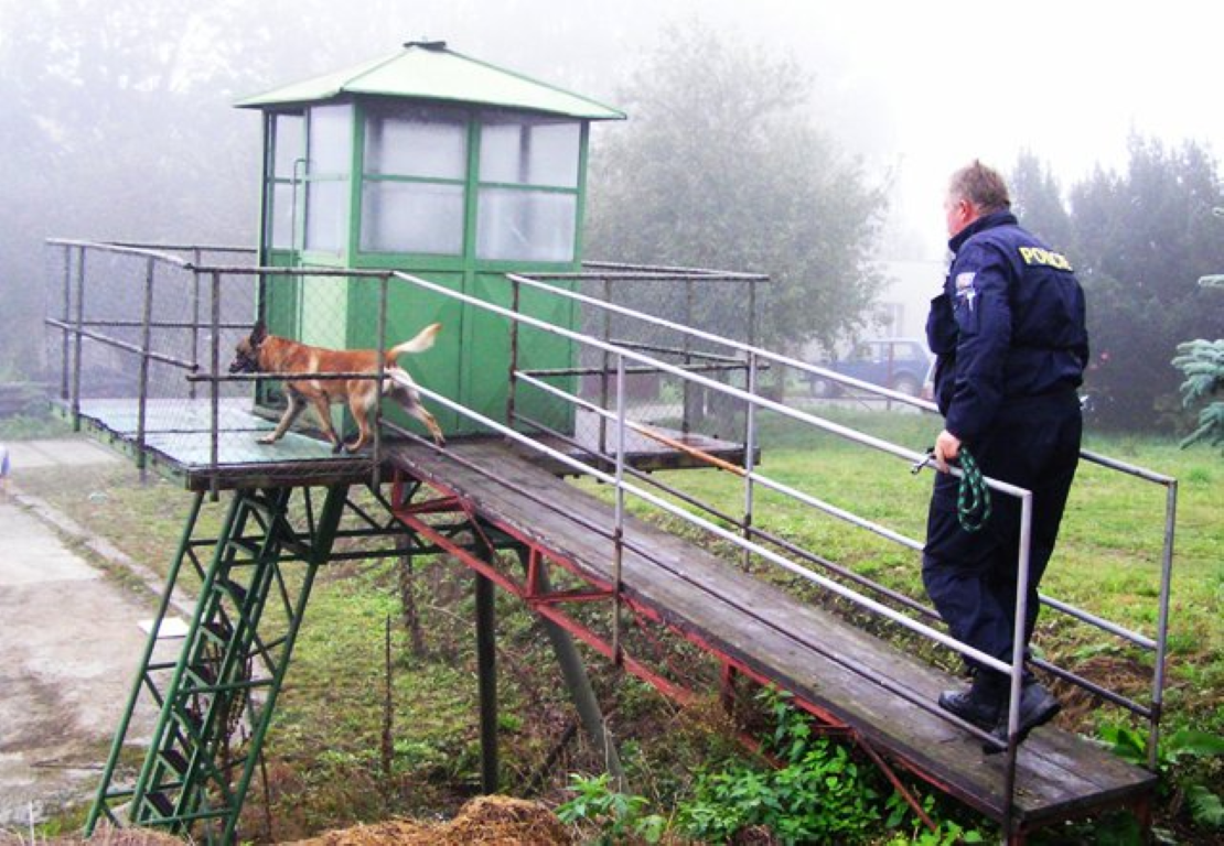 obrázek: Stovky pachatelů vyčenichají policejní psi