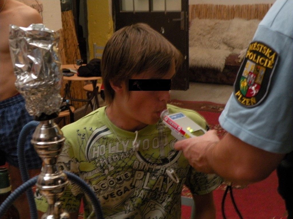 obrázek: Strážníci a ČOI kontrolovali plzeňské herny