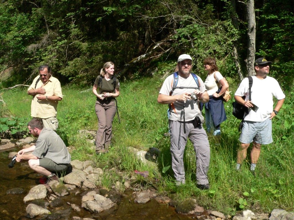 obrázek: Šumava už nabízí výlety s průvodcem za divočinou