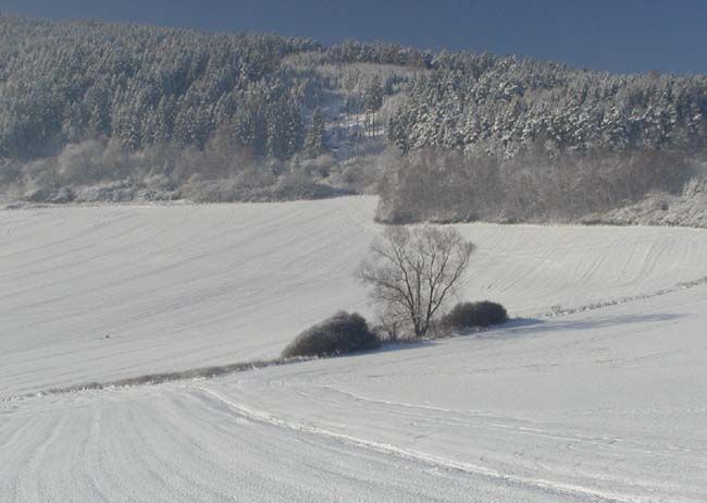 obrázek: Šumava ode dneška hostí evropské sněhology