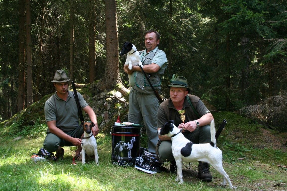 obrázek: V Břasích skládali zkoušky foxteriéři
