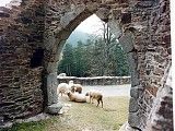 obrázek: Velhartice zvou milovníky dobrého jídla a pití na baštu