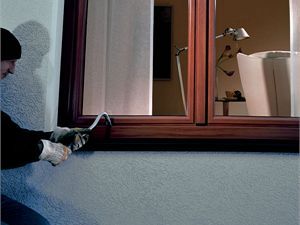 obrázek: Vykradl osm aut a dva domy