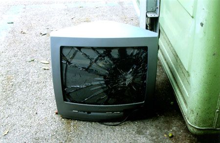obrázek: Ženě vběhl do domu a rozbil televizi