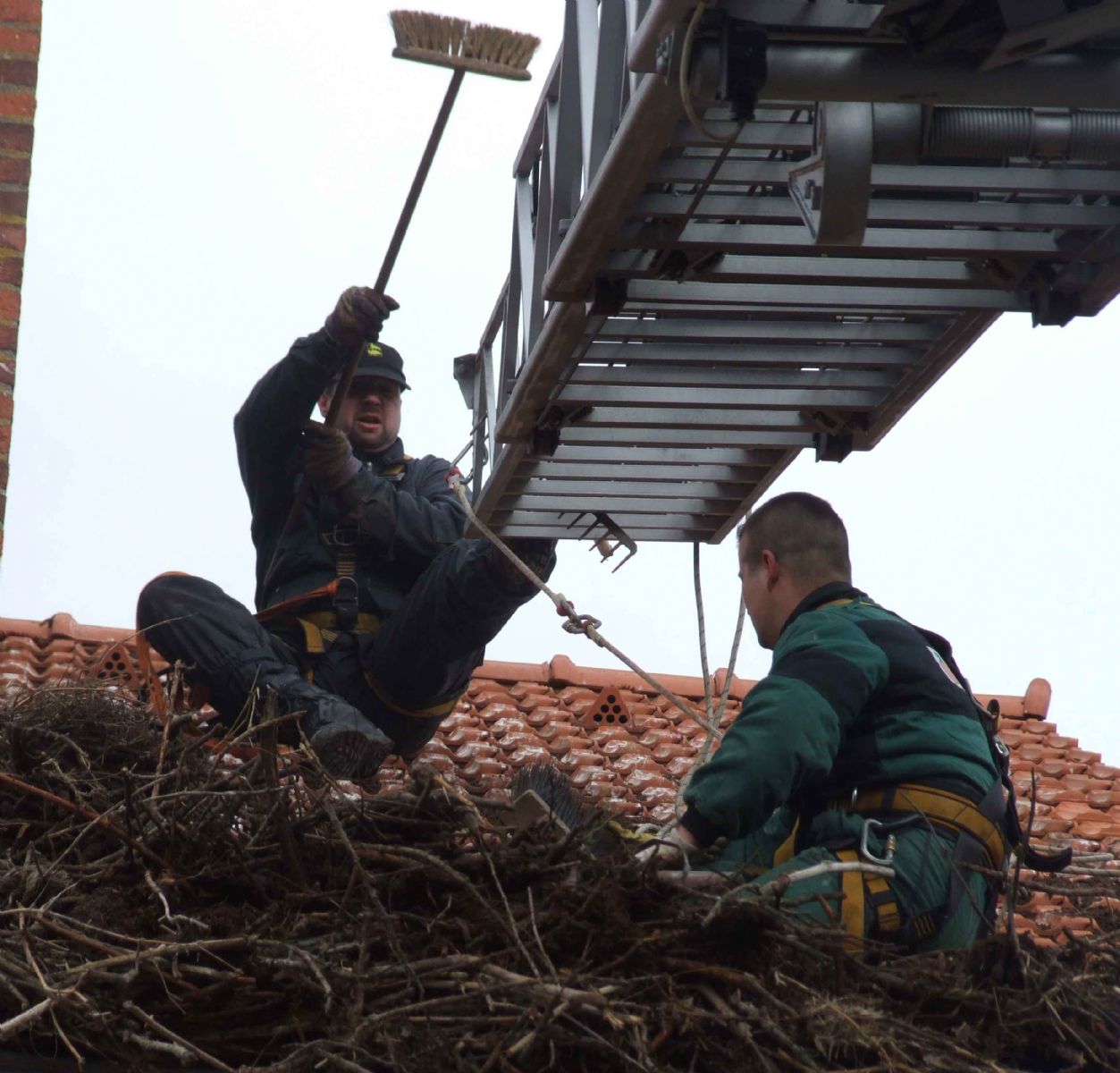 obrázek: Zvířecí záchranáři z Plzně upravovali hnízdo čápům v Teplé