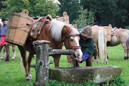 obrázek: Akce „1000 let dějin soli“ zahajuje na Šumavě v neděli 