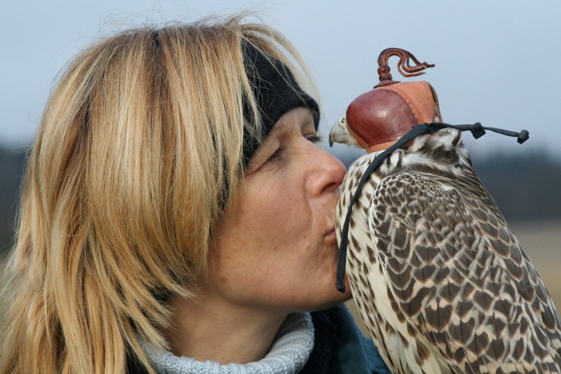 obrázek: Dravci dělali radost nad Těškovem