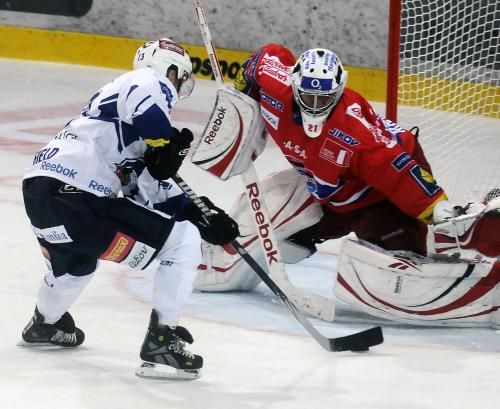 obrázek: Mázhaus hostí výstavu SPORT 2010