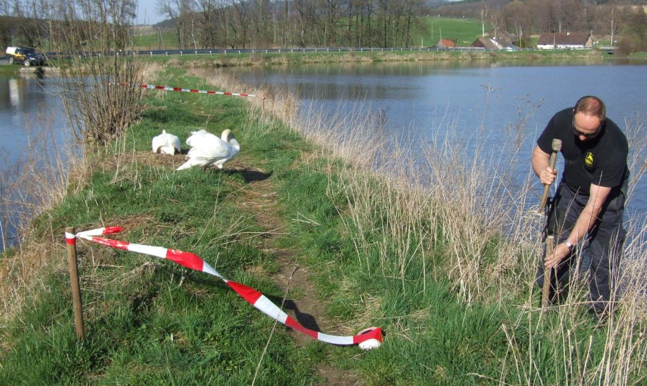 obrázek: Obyvatelé Plzeňska ničí na jaře hnízda ptákům
