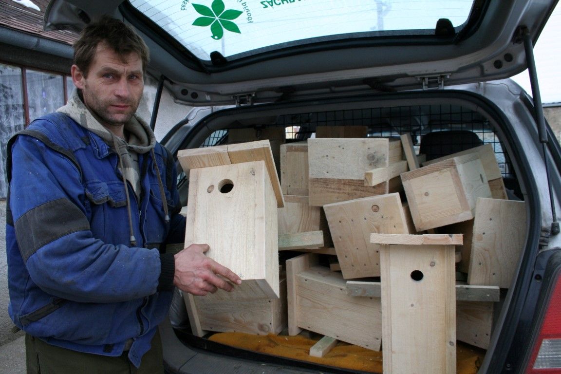 obrázek: Ochránci přírody z Rokycan věší budky pro ptáky 