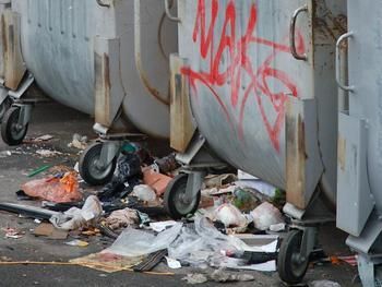obrázek: Plzeň hyzdí nepořádek u popelnic