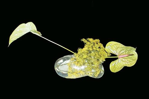 obrázek: Plzeň ve čtvrtek zahajuje oslavy partnerství s Takasaki