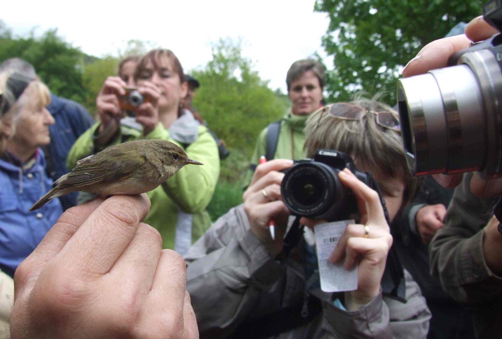 obrázek: Plzeňáci o víkendu vítali ptačí zpěv