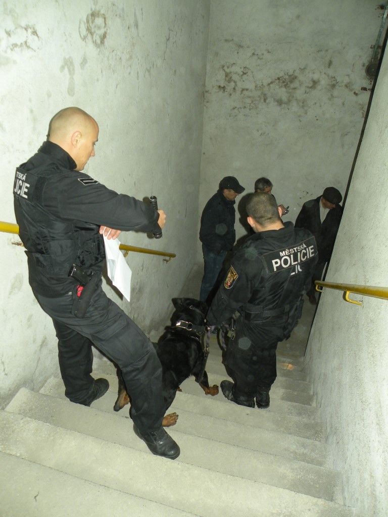 obrázek: Policisté a strážníci v Plzni v pondělí kontrolovali kryty