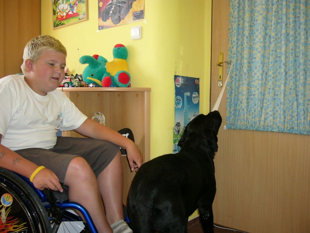 obrázek: Pomocné tlapky mají 9 let, předali 100 asistenčních  psů