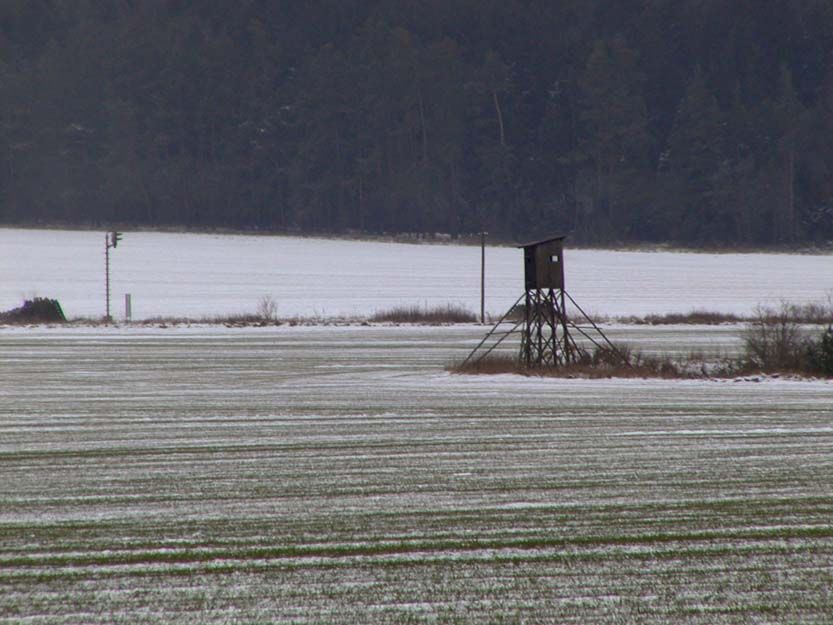 obrázek: U Racova z pole ukradli patnáctikilové klanice