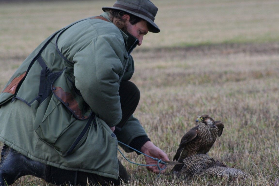 obrázek: Rokycanští sokolníci zhodnotili rok