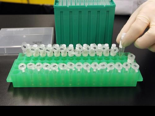 obrázek: Ruský ministr sportu se ohradil vůči podezření z dopingu