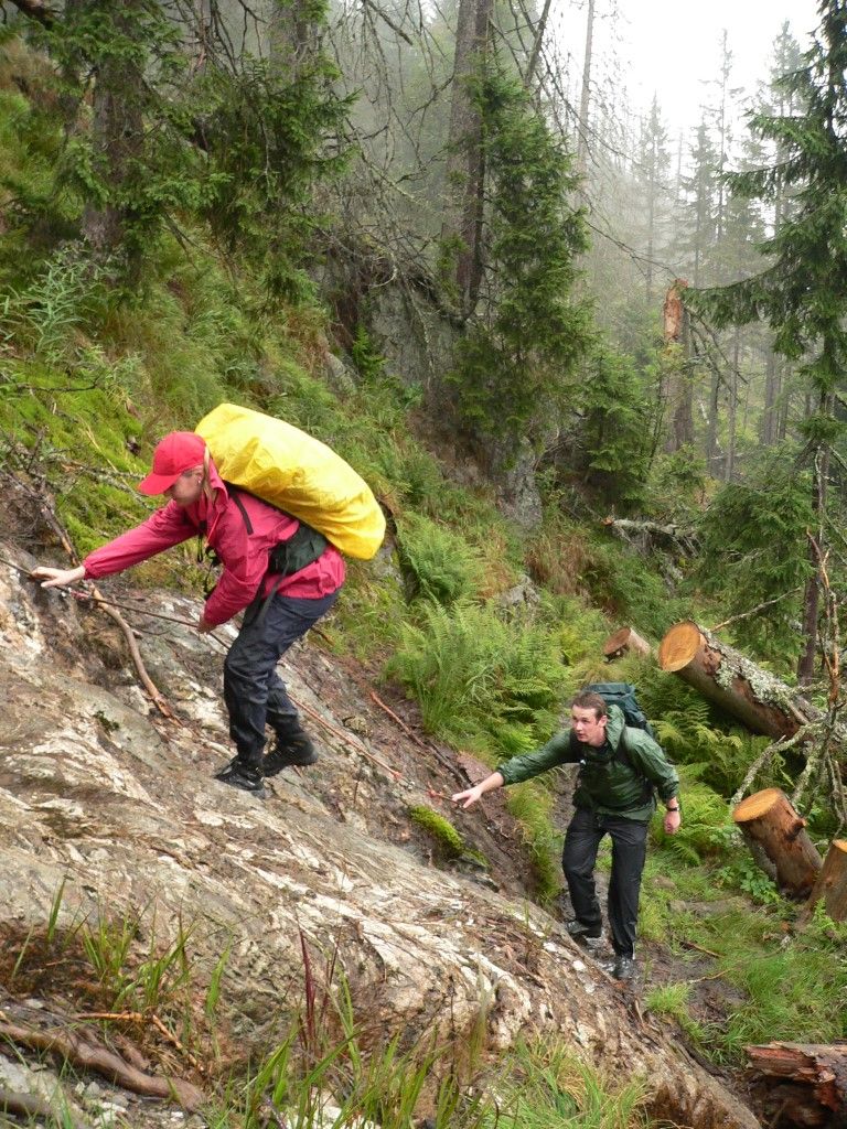 obrázek: S průvodci opět můžete za šumavskou divočinou 
