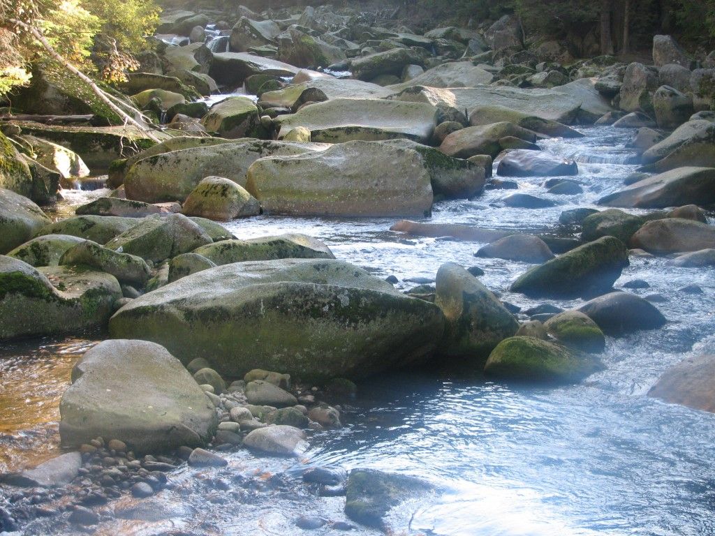 obrázek: Školy v Srní získaly 750 tisíc korun na ekologické topení