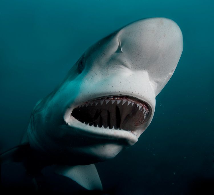 obrázek: Spálené Poříčí ovládnou nejlepší outdoorové filmy