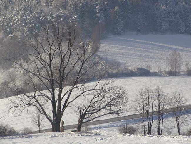 obrázek: Novoroční tradice ctili už staří horalé na Šumavě
