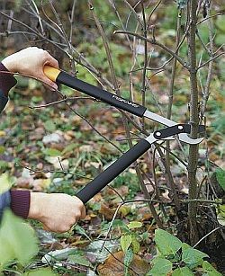 obrázek: Test: Zahradní nůžky -- na zahradu jen ty odolné 