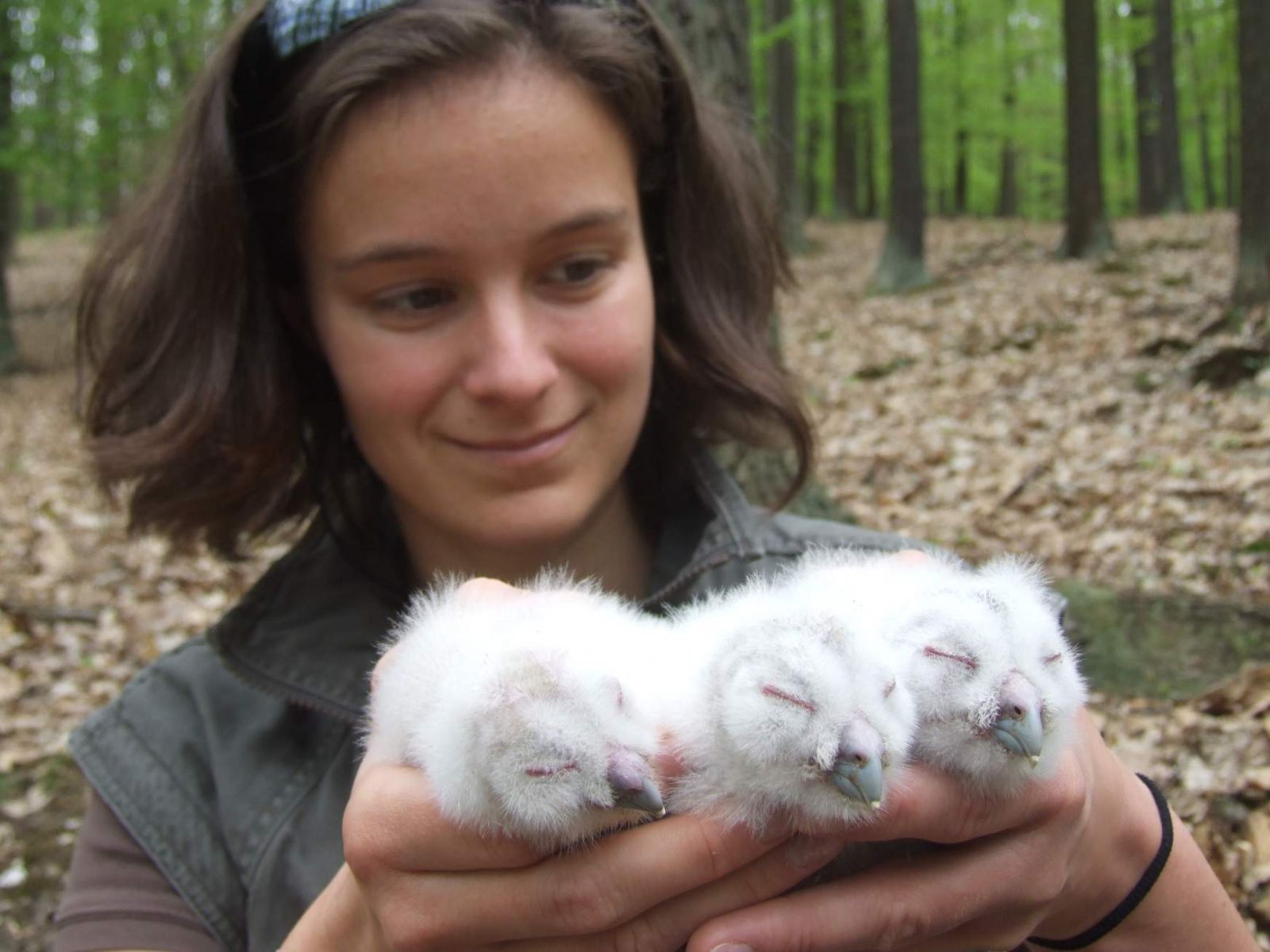 obrázek: Týden u zvířecích záchranářů: Labutě ve vlasci i skládky