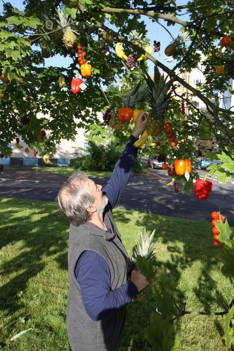 obrázek: V Plzni z listnáče sklízeli úrodu banánů, paprik a ananasů